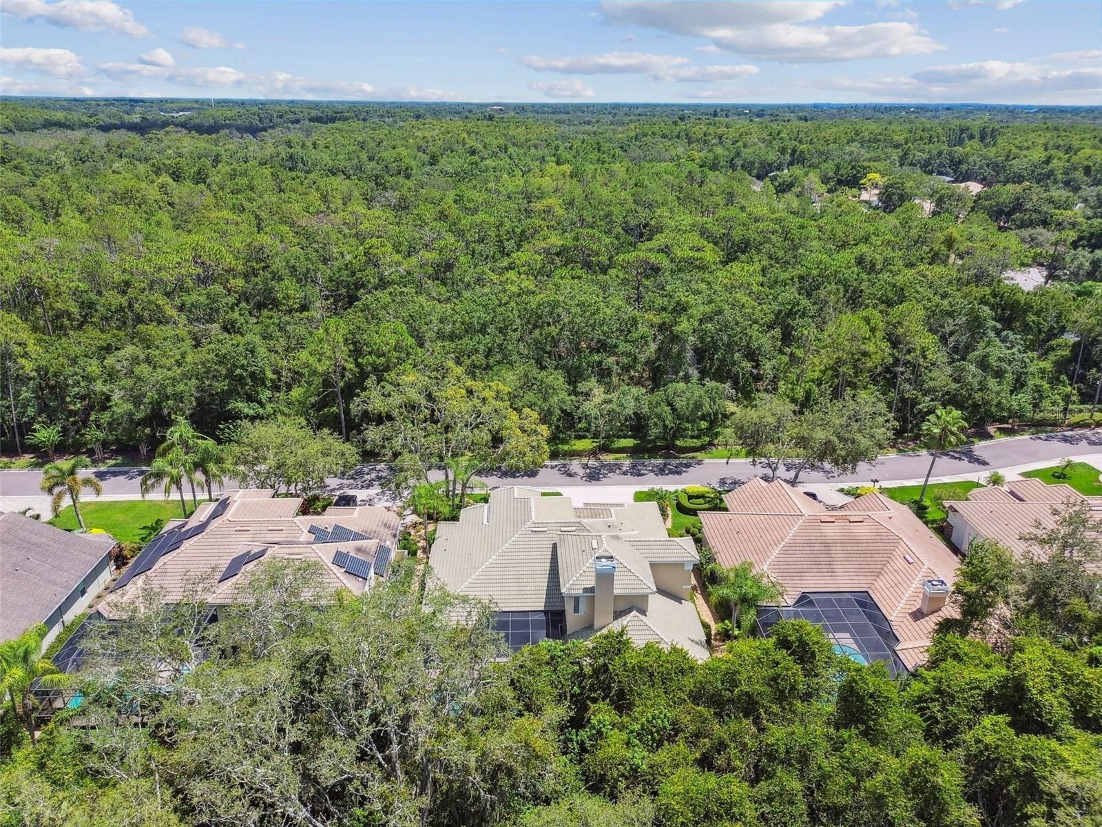 GREY OAKS PH 2 - Residential