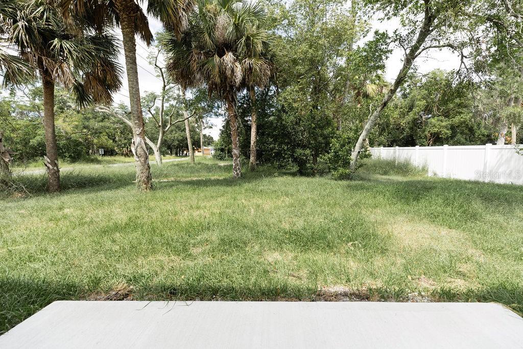 APOPKA TOWN - Residential