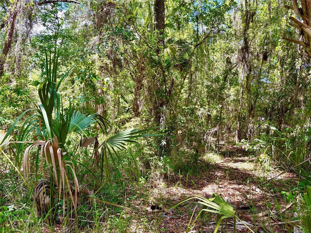 Photo of Old Crystal River Road, Brooksville, FL 34601 (MLS # OM725645)