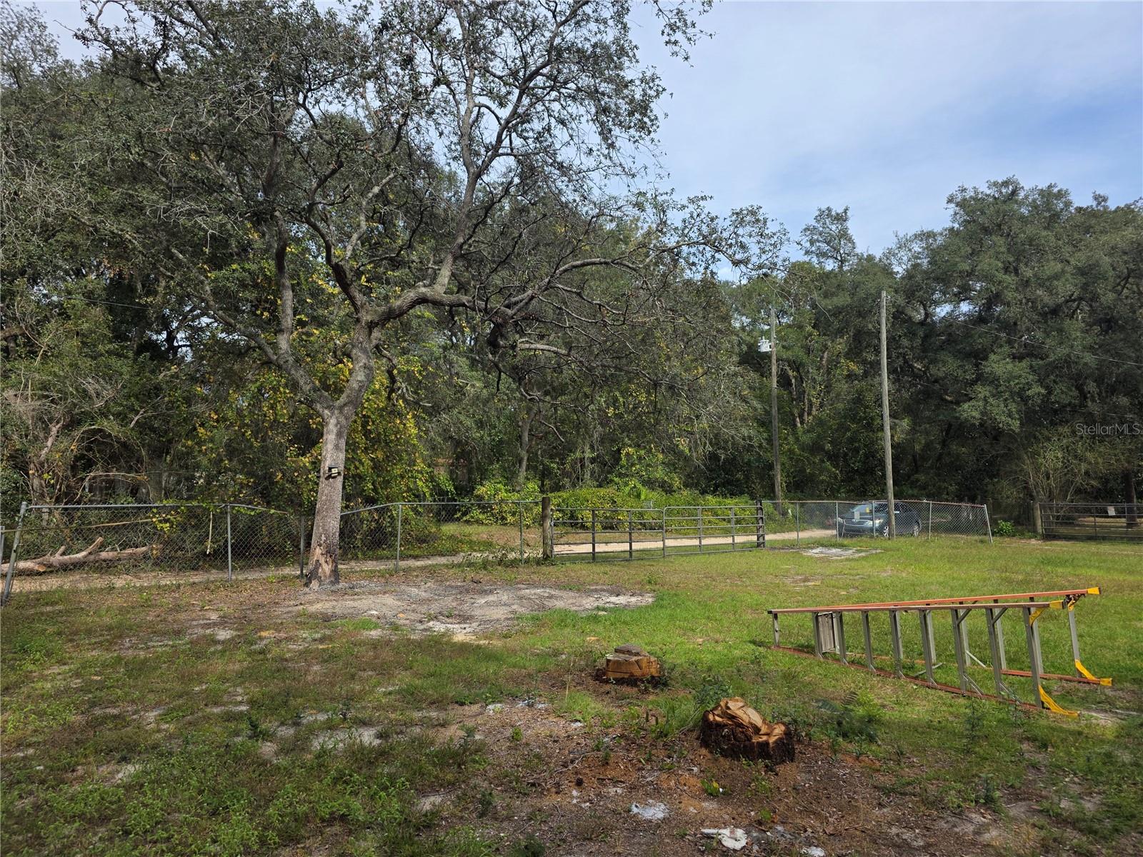 OCALA FOREST DEV - Residential