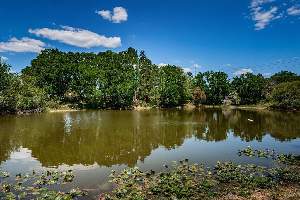 Photo of 6804 Seafairer Drive, Tampa, FL 33615 (MLS # TB8500351)