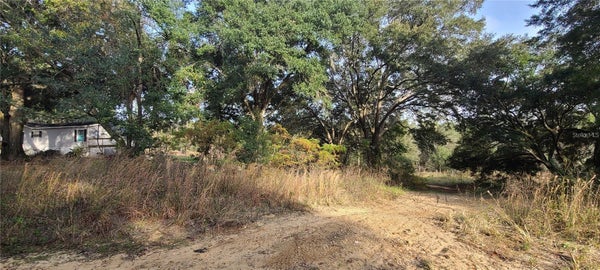 17105 SE 252ND AVE, UMATILLA, FL 32784 - Image 949d6e5c3ede63ff2e7e86014c0c2a8d/268157140