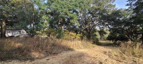 Photo of 17105 SE 252nd Avenue, Umatilla, FL 32784 (MLS # G5114309)