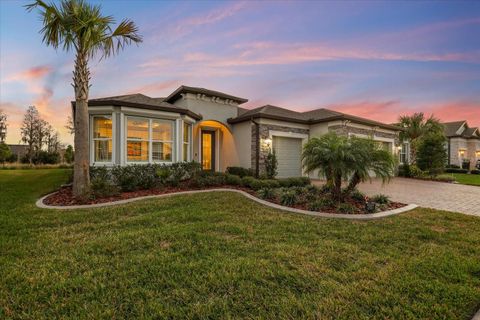 Photo of 5356 Blue Crush Bend, Land O Lakes, FL 34638 (MLS # TB8466213)