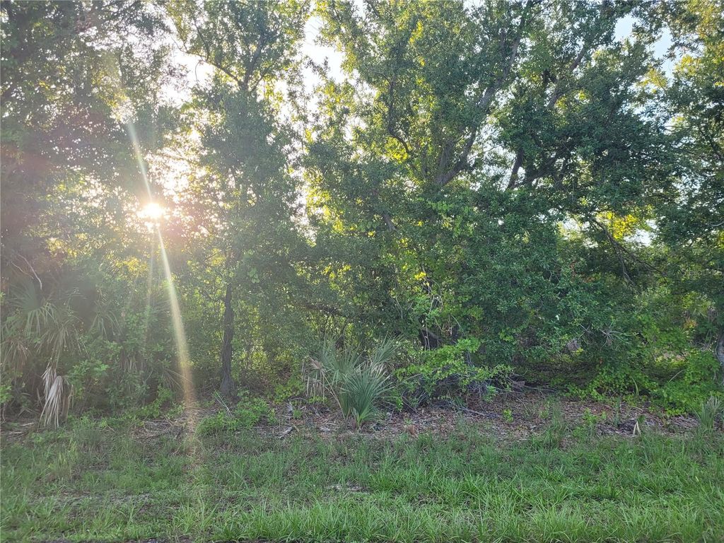 Photo of 9653 President Circle, Port Charlotte, FL 33981 (MLS # D6136968)
