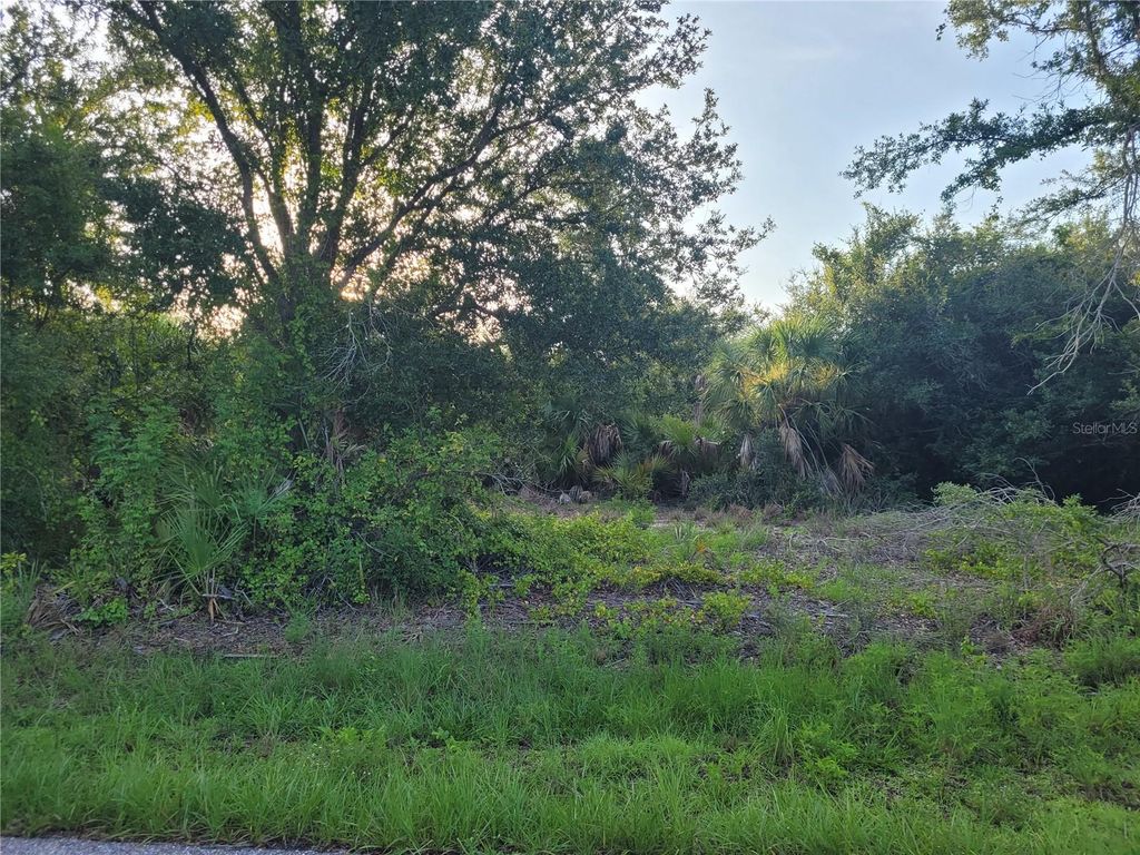 Photo of 9653 President Circle, Port Charlotte, FL 33981 (MLS # D6136968)
