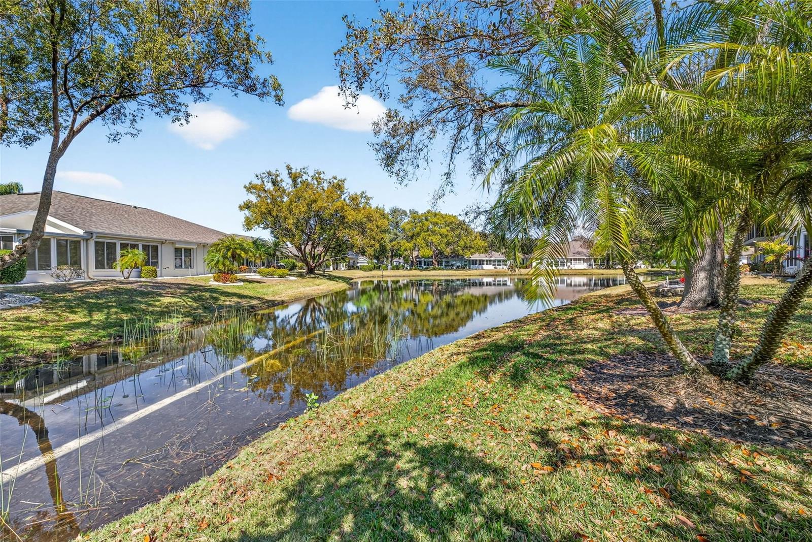 MANCHESTER 02 CONDO - Residential