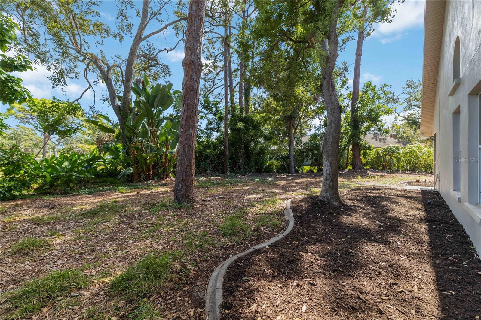AZALEA PARK NORTHWEST - Residential