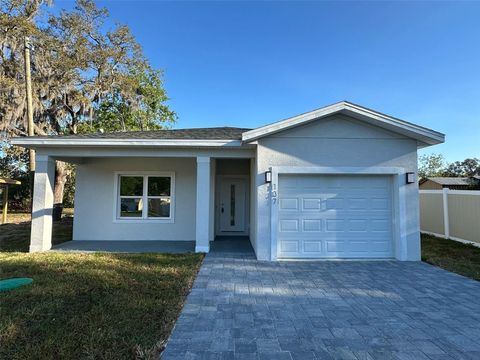 137 W G H WASHINGTON STREET APOPKA FL 32703