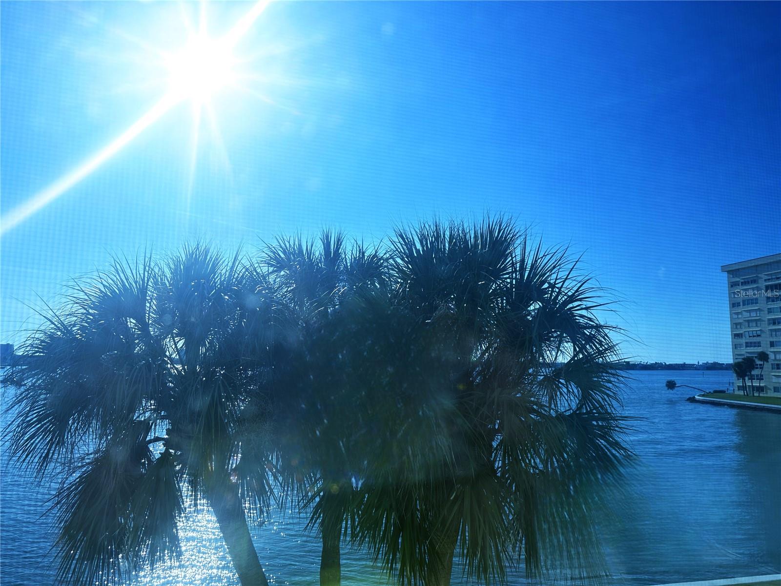 CONCORD TOWERS CONDO - Residential