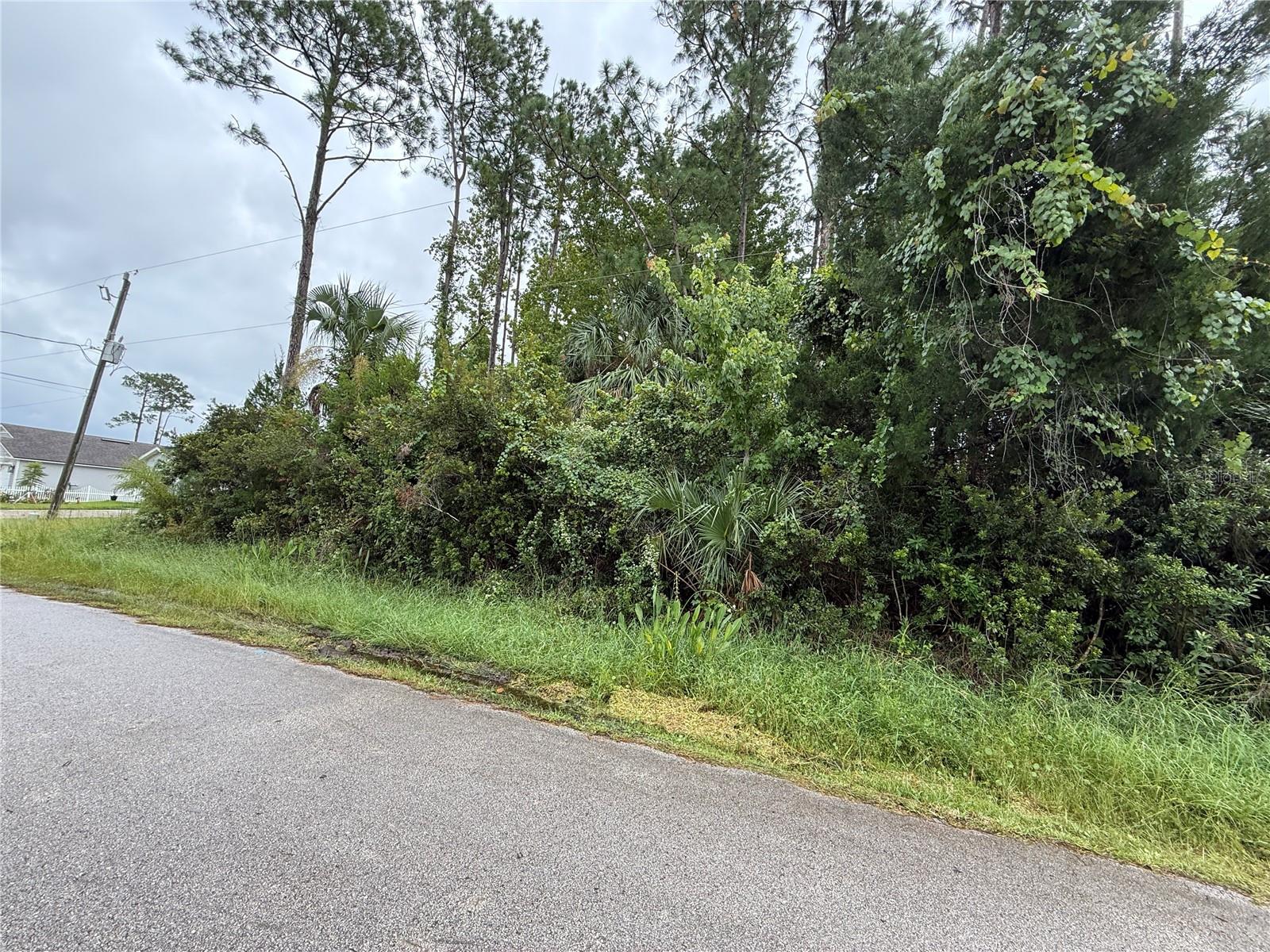 PALM COAST SEC 09 - Land