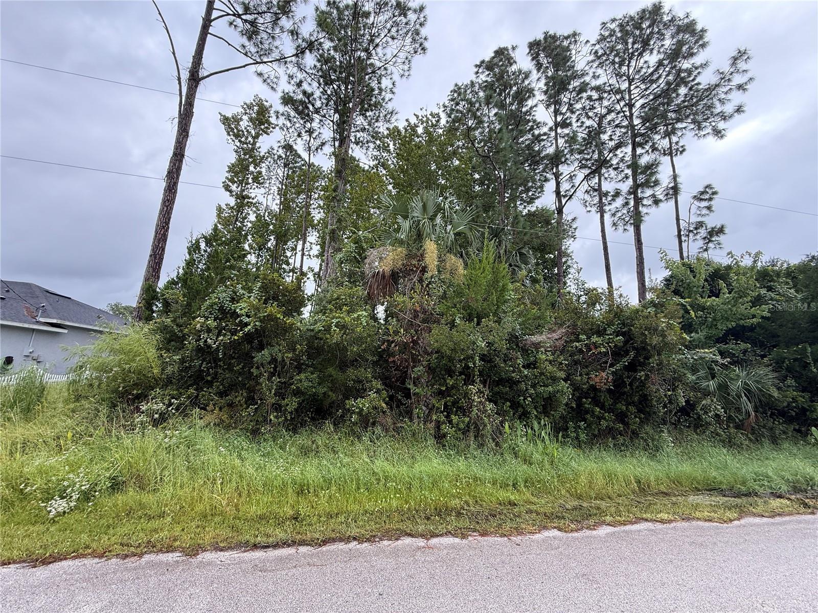 Build your dream home in the highly sought-after Palm Harbor neighborhood of Palm Coast! This vacant lot at 124 Fenimore Lane offers the perfect setting in a well-established community known for its winding saltwater canals, mature trees, and proximity to the Intracoastal Waterway. Enjoy being just minutes from golf courses, marinas, shopping, dining, and Flagler’s beautiful beaches. With no HOA fees and plenty of room to design the Florida lifestyle you’ve always wanted, this property is ideal for builders, investors, or anyone ready to create their forever home.