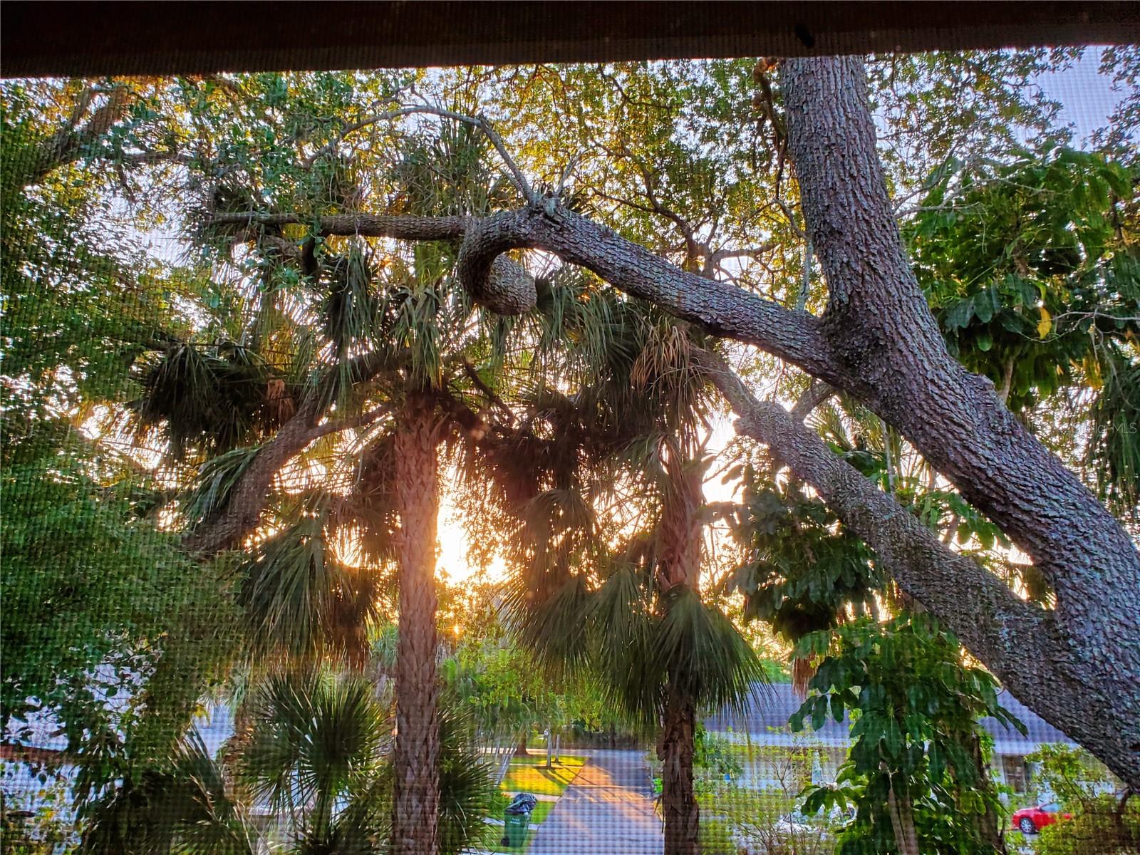 CORDOVA GARDENS II - Residential