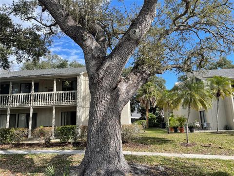 2224 BAHIA VISTA STREET E6 SARASOTA FL 34239