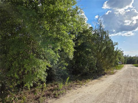 Tiny photo for 9070 NE 76th Street, Bronson, FL 32621 (MLS # OM725127)