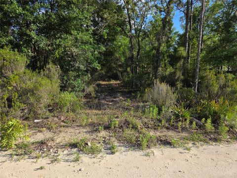 Tiny photo for 9070 NE 76th Street, Bronson, FL 32621 (MLS # OM725127)