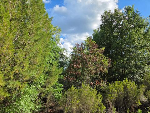 Tiny photo for 9070 NE 76th Street, Bronson, FL 32621 (MLS # OM725127)