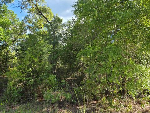 Tiny photo for 9070 NE 76th Street, Bronson, FL 32621 (MLS # OM725127)