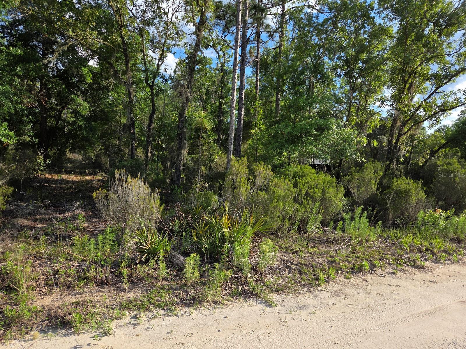 UNIVERSITY ESTATES - Land