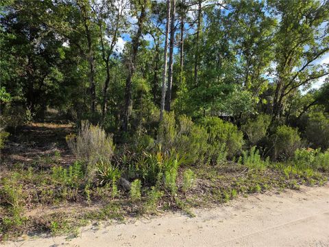 Tiny photo for 9070 NE 76th Street, Bronson, FL 32621 (MLS # OM725127)