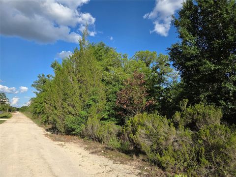 Photo of 9070 NE 76th Street, Bronson, FL 32621 (MLS # OM725127)