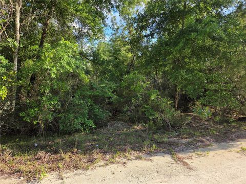 Tiny photo for 9070 NE 76th Street, Bronson, FL 32621 (MLS # OM725127)