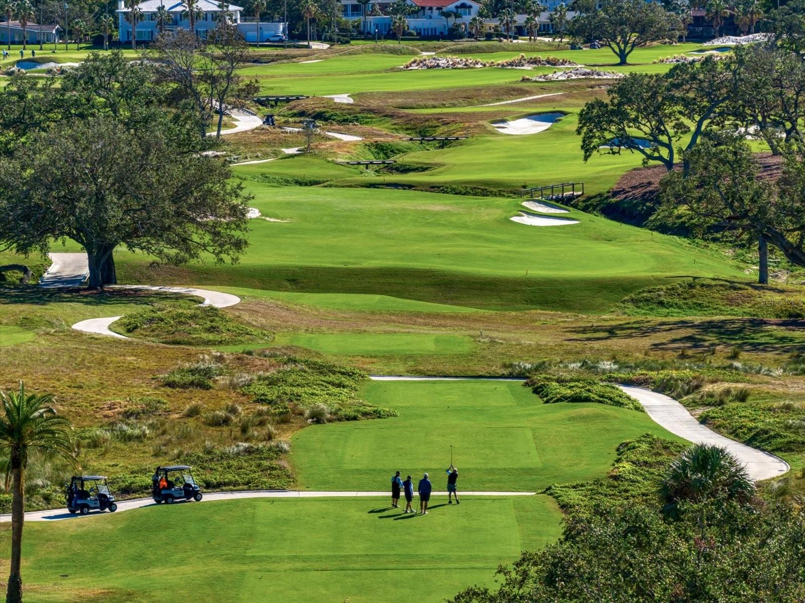 RESIDENCES AT BELLEVIEW PLACE CONDO - Residential