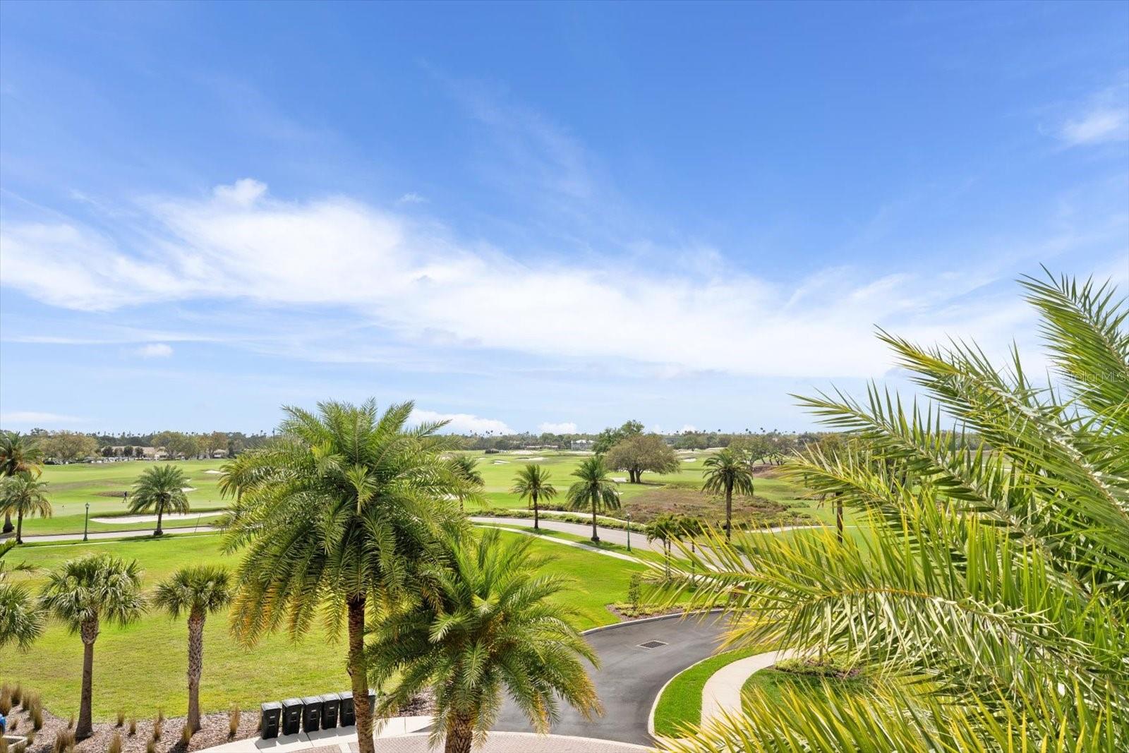 RESIDENCES AT BELLEVIEW PLACE CONDO - Residential