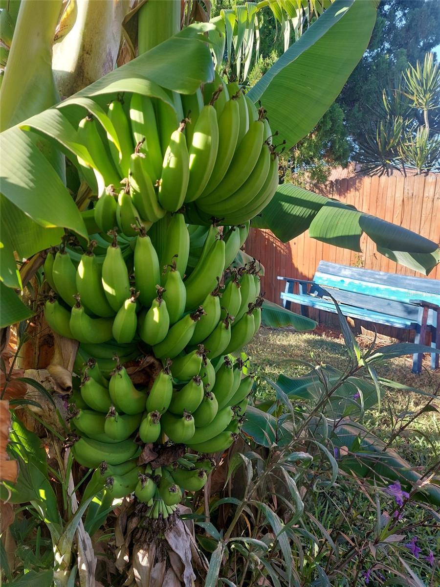 BAYSHORE GARDENS SEC 14 - Residential