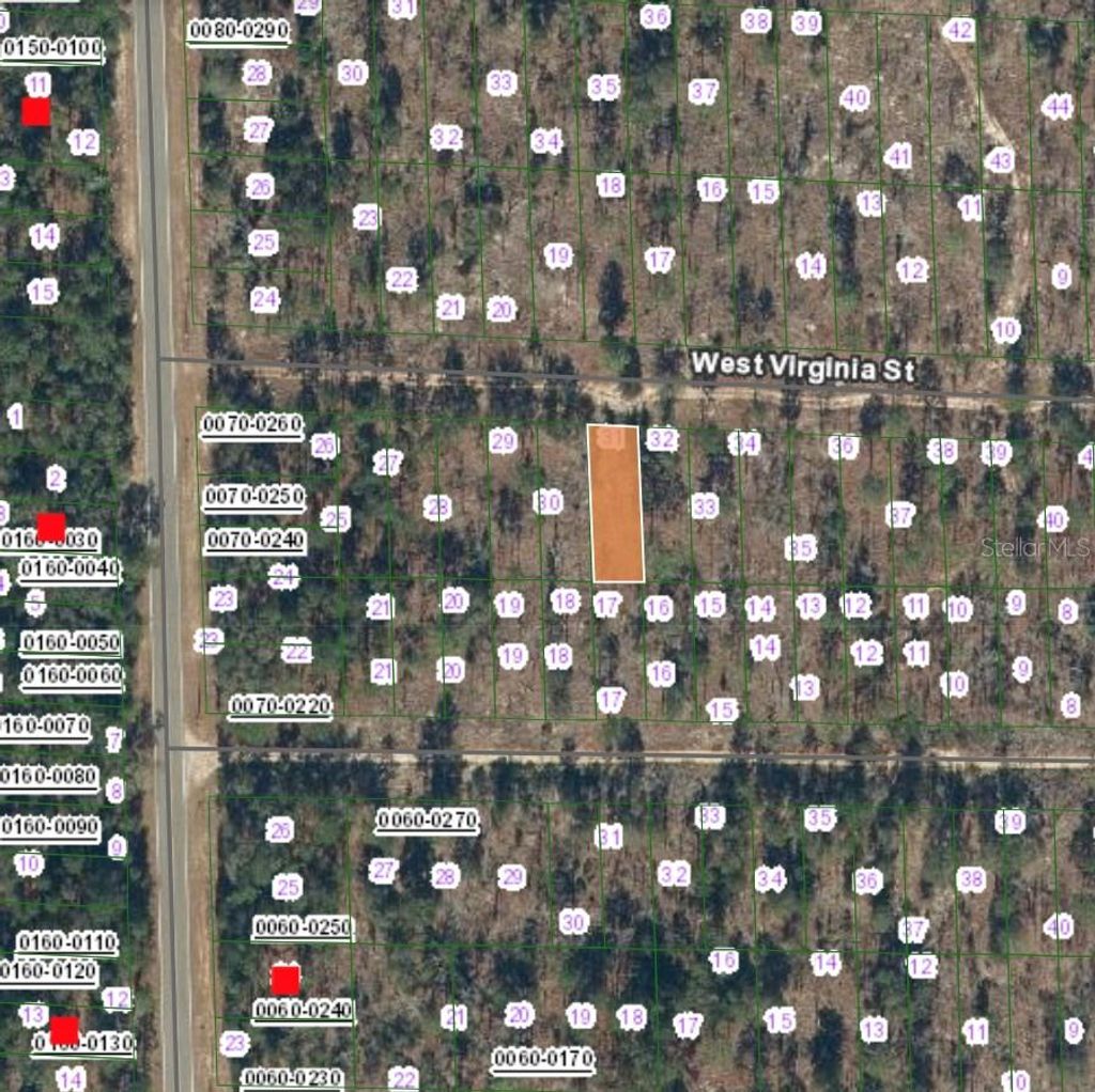 Photo of 125 West Virginia Street, Hawthorne, FL 32640 (MLS # FC315456)