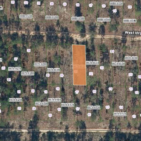 125 WEST VIRGINIA STREET HAWTHORNE FL 32640