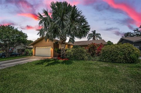 1281 AMBERLEA DRIVE E DUNEDIN FL 34698