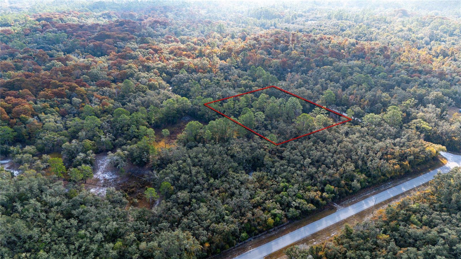 RIDGE MANOR ESTATE - Land