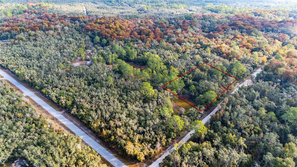 Photo of 0 Rose Bloom Lot 5 Avenue, Webster, FL 33597 (MLS # TB8450293)