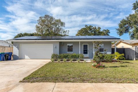 3116 WINCHESTER DRIVE DUNEDIN FL 34698