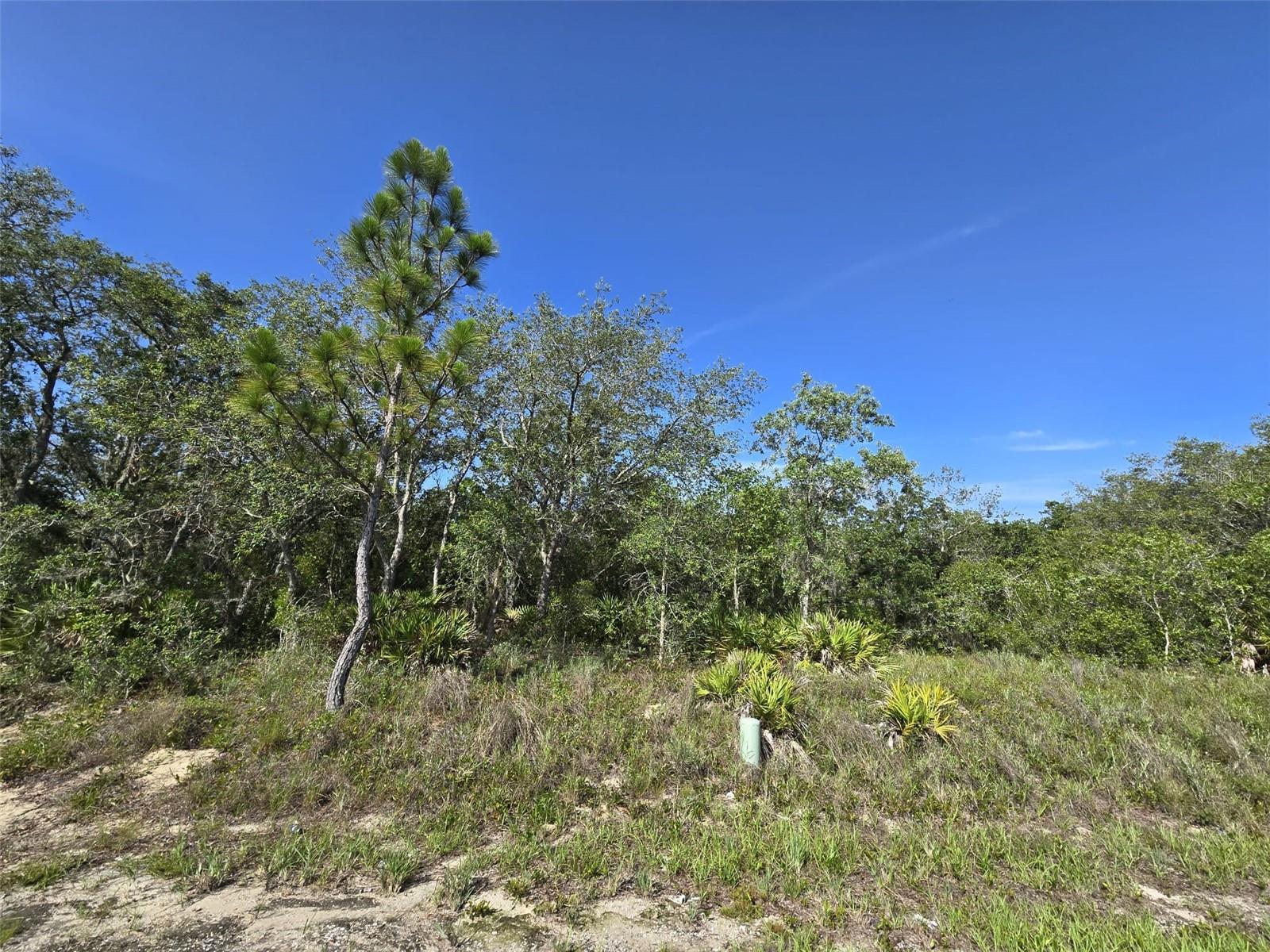 Affordable vacant land in fast growing community of Poinciana. Ready for the builder. This property is JUST the ideal place for you to build your dream home. Community college being developed in the area, expansion of local hospitals, and increased schools make this area the perfect place to start your new project.