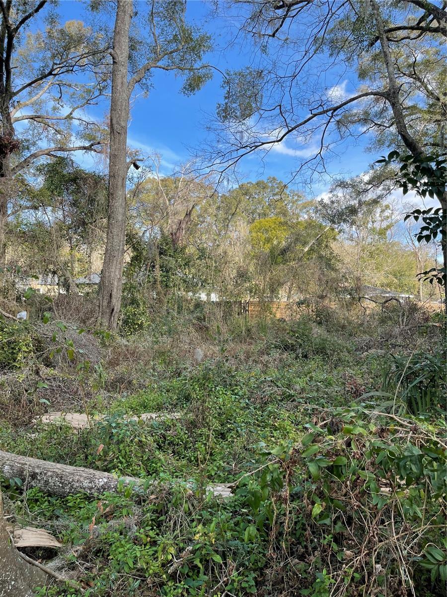 DOWNING-ALACHUA - Land