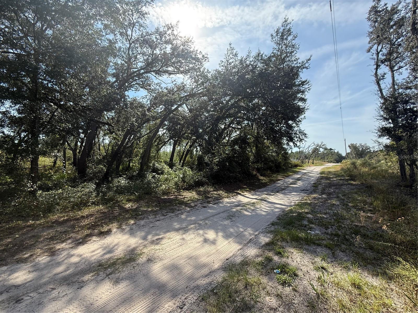 Discover the perfect blend of country charm and modern convenience in the tranquil Florida Highlands of Marion County! This high and dry 1.25-acre lot offers privacy and seclusion, free from HOA restrictions and boasting A1 - General Agriculture zoning. This means you have the freedom to build your dream home – whether it's a site-built, manufactured, or mobile home – or even establish your own farm.
This versatile rectangle lot is ideal for horses or farming. Enjoy peaceful, rural living while being close toRoss Prairie State Forest and the 2.3-mile Holly Hammock Hiking Trail. For equestrian enthusiasts, the renowned World Equestrian Center is only about 20 miles away.
As a great long-term investment with low taxes, this property is also located in Zone X, meaning no flood insurance is required. With Ocala's shopping, dining, and amenities just a short drive away, and convenient access to Dunnellon and I-75, this is the perfect spot to enjoy private country living without sacrificing convenience. So many possibilities await you here – come see it today!
