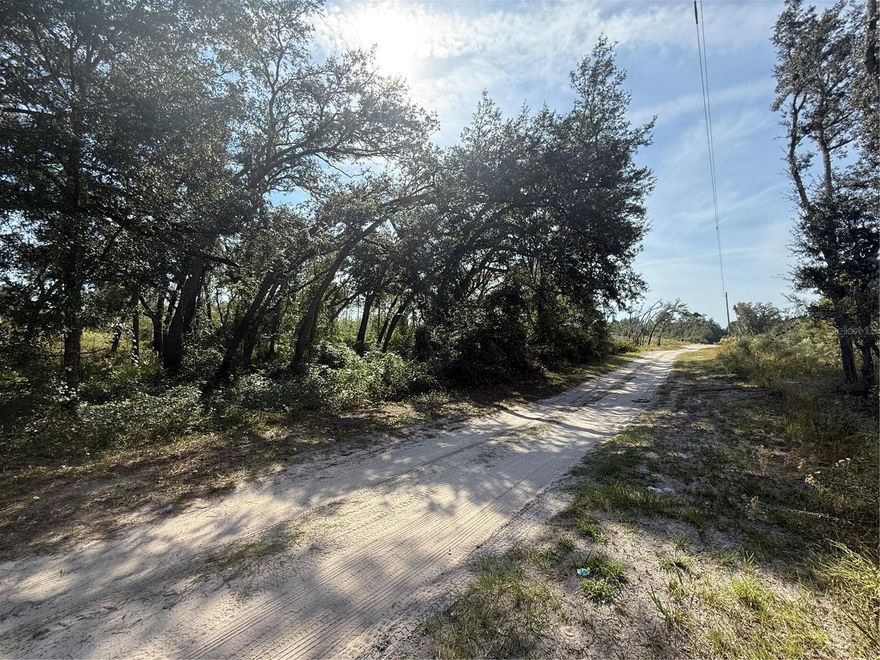 Discover the perfect blend of country charm and modern convenience in the tranquil Florida Highlands of Marion County! This high and dry 1.25-acre lot offers privacy and seclusion, free from HOA restrictions and boasting A1 - General Agriculture zoning. This means you have the freedom to build your dream home – whether it's a site-built, manufactured, or mobile home – or even establish your own farm.

This versatile rectangle lot is ideal for horses or farming. Enjoy peaceful, rural living while being close toRoss Prairie State Forest and the 2.3-mile Holly Hammock Hiking Trail. For equestrian enthusiasts, the renowned World Equestrian Center is only about 20 miles away.

As a great long-term investment with low taxes, this property is also located in Zone X, meaning no flood insurance is required. With Ocala's shopping, dining, and amenities just a short drive away, and convenient access to Dunnellon and I-75, this is the perfect spot to enjoy private country living without sacrificing convenience. So many possibilities await you here – come see it today!