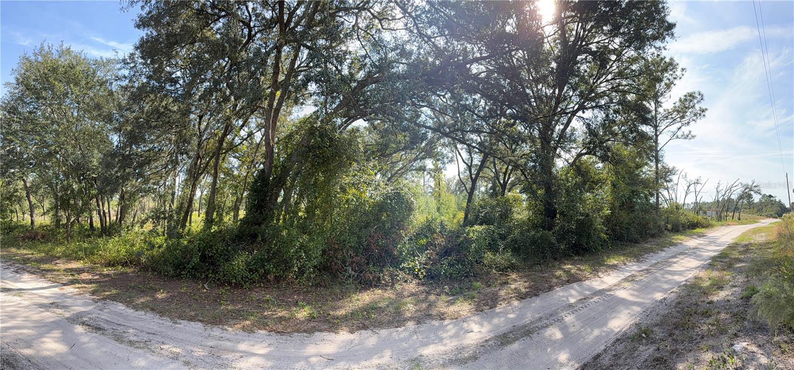 FLORIDA HIGHLANDS - Land