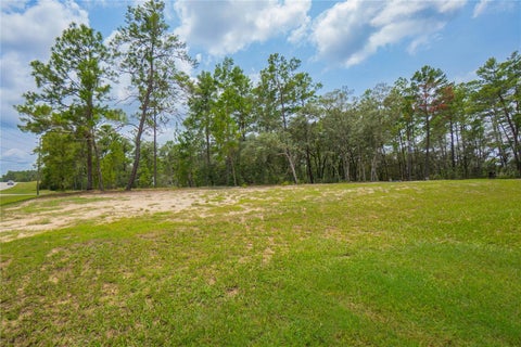 Tiny photo for 4136 W Findlay Street, Citrus Springs, FL 34433 (MLS # W7888179)