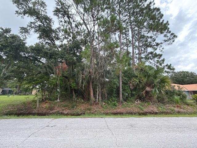 Here’s a listing description you can use for 37 Princess Ruth Lane in Palm Coast, FL:
---
Discover the perfect opportunity to build your dream home on this beautiful wooded lot located at 37 Princess Ruth Lane in Palm Coast, FL. Nestled in a quiet and established neighborhood, this property offers both privacy and convenience. You'll enjoy close proximity to shopping centers, churches, restaurants, and the beautiful beaches of Flagler County. Whether you're looking to invest or create your own private retreat, this lot provides an ideal location to enjoy Florida living at its finest.