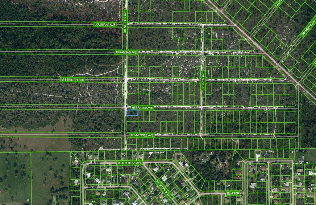 Photo of 511 Kentucky Avenue, Lake Placid, FL 33852 (MLS # OM625669)