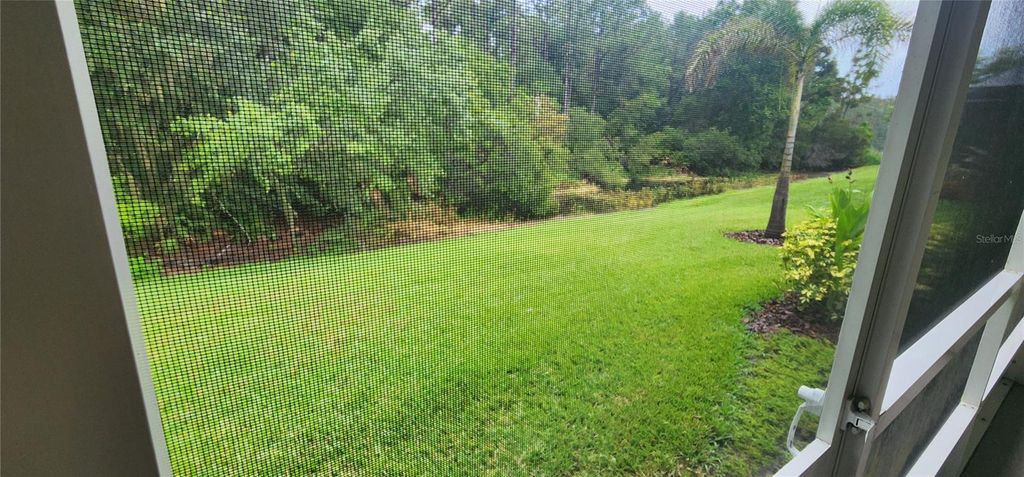 Photo of 1713 Sassafras Drive, Wesley Chapel, FL 33543 (MLS # TB8411343)