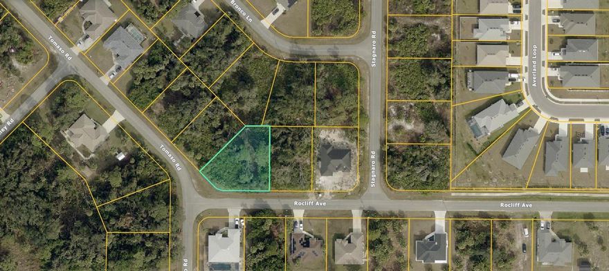 Great oversized buildable lot NOT in a Flood Zone with city water already in! Lots of new construction throughout this up & coming neighborhood! NOT an assignment of contract, LOCAL sellers with quick responses & smooth closings! Buy now & build or hold this property for future investment. Taxes are LOW make your investment TODAY!