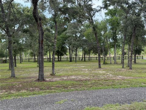 Tiny photo for 14190 NE 75th Street, Bronson, FL 32621 (MLS # V4950060)
