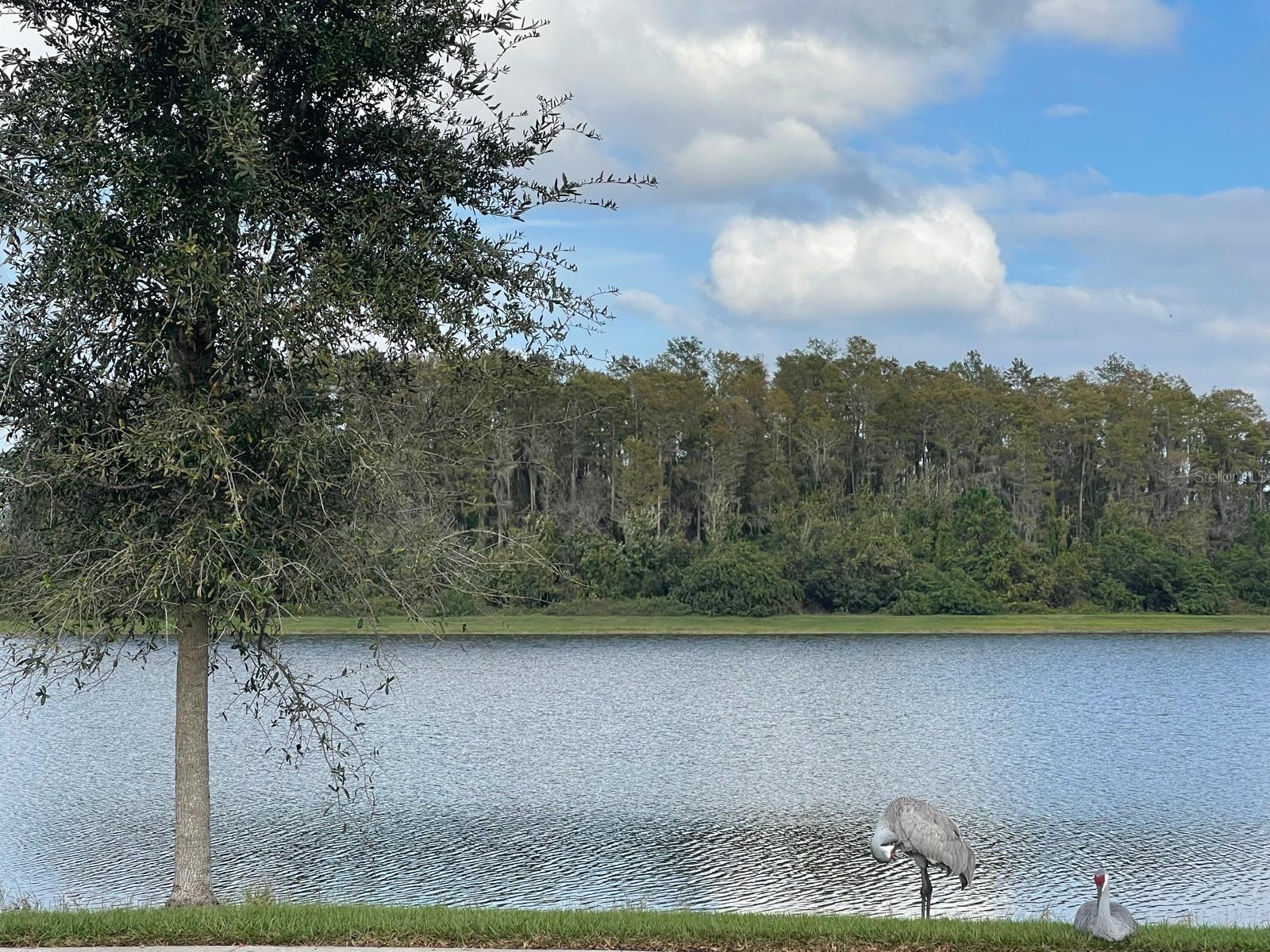 GRAMERCY FARMS PH 4 - Residential