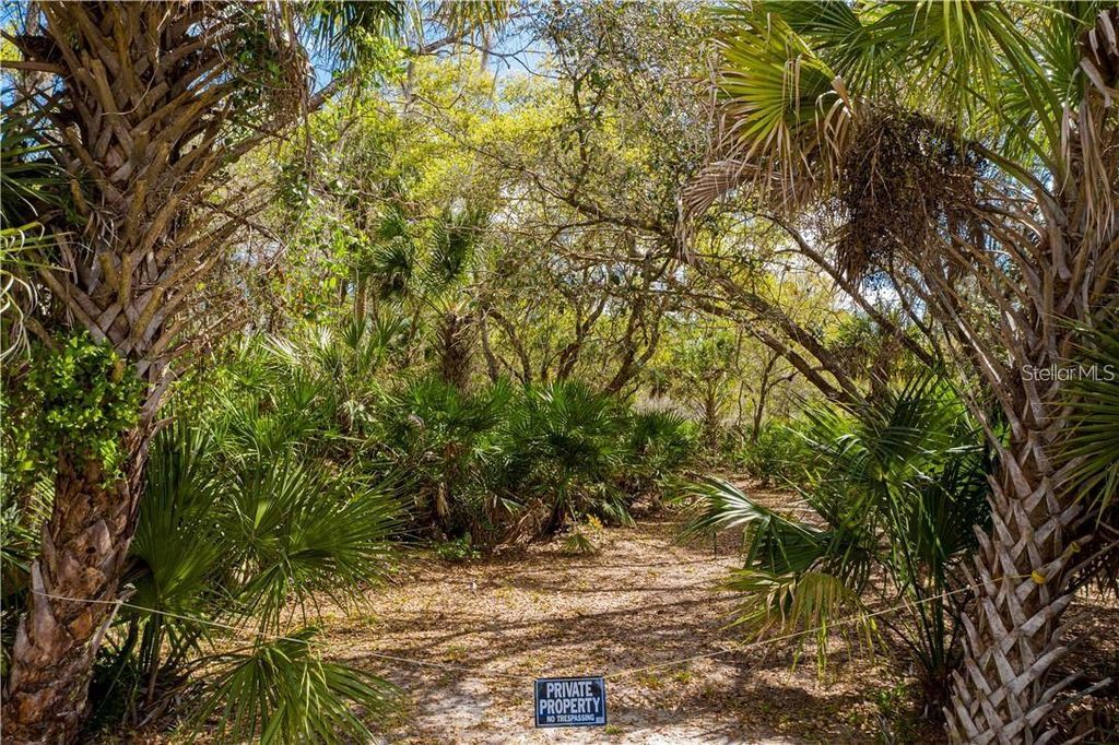 Photo of 392 Manly Street, Port Charlotte, FL 33953 (MLS # TB8339985)