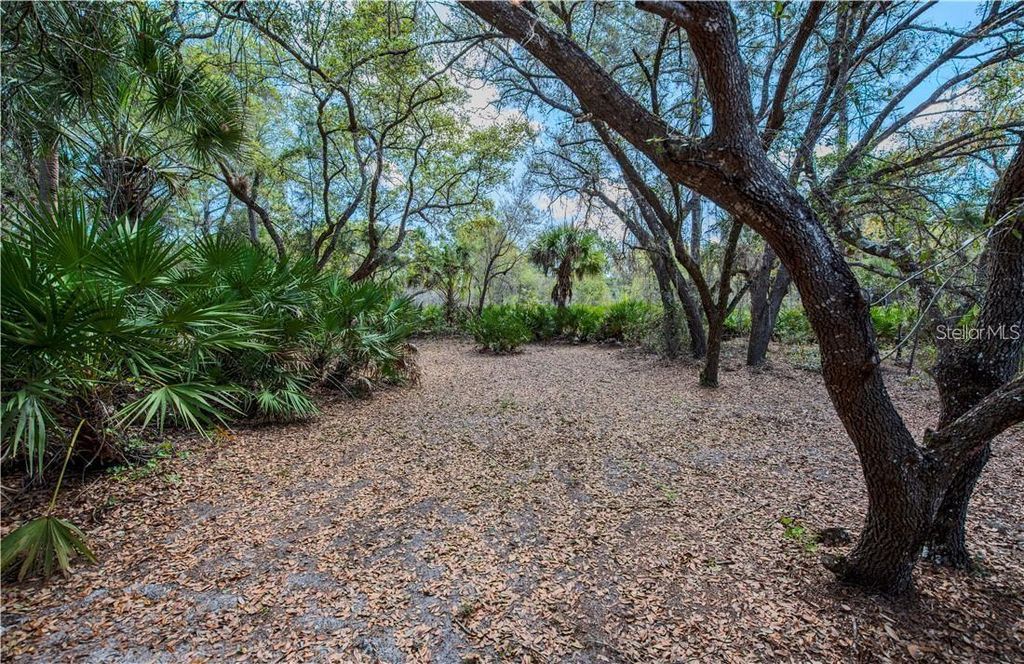 Photo of 392 Manly Street, Port Charlotte, FL 33953 (MLS # TB8339985)