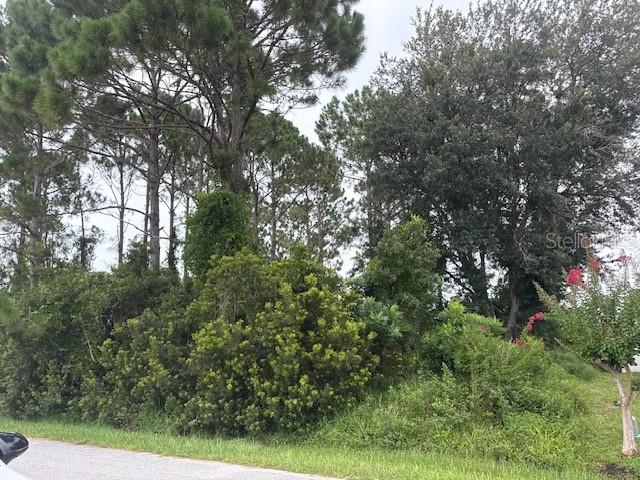 Build your dream home on this beautiful wooded lot located at 69 Felwood Lane in Palm Coast, FL. Nestled in a quiet residential neighborhood, this property offers a natural setting with mature trees and privacy. Conveniently situated close to shopping centers, popular restaurants, and just a short drive to the area's stunning beaches. Enjoy the Florida lifestyle with nearby parks, golf courses, and all the amenities Palm Coast has to provide.